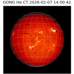 gong - 2026-02-07T14:00:42