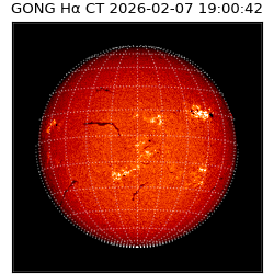 gong - 2026-02-07T19:00:42