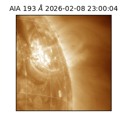 saia - 2026-02-08T23:00:04.846000