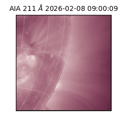 saia - 2026-02-08T09:00:09.626000