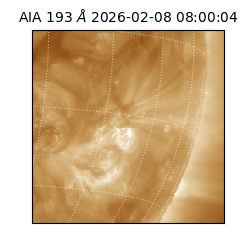 saia - 2026-02-08T08:00:04.846000