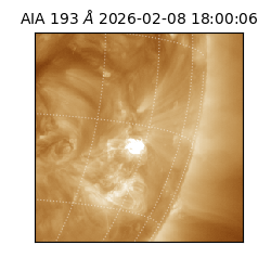 saia - 2026-02-08T18:00:06.229000