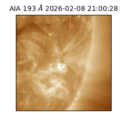 saia - 2026-02-08T21:00:28.835000