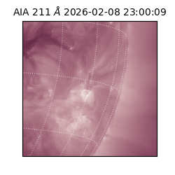 saia - 2026-02-08T23:00:09.626000