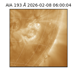 saia - 2026-02-08T06:00:04.843000