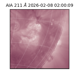 saia - 2026-02-08T02:00:09.626000