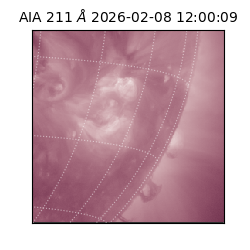 saia - 2026-02-08T12:00:09.626000