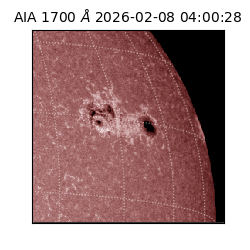 saia - 2026-02-08T04:00:28.720000