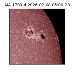 saia - 2026-02-08T05:00:28.717000