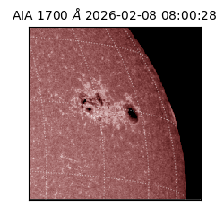 saia - 2026-02-08T08:00:28.718000