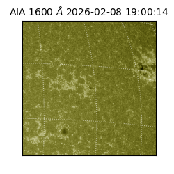 saia - 2026-02-08T19:00:14.126000