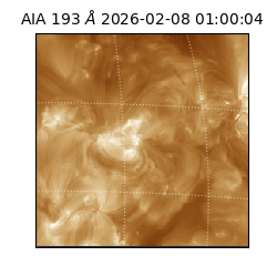 saia - 2026-02-08T01:00:04.843000