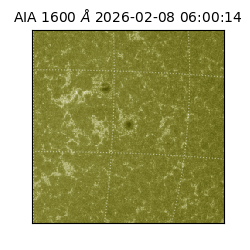saia - 2026-02-08T06:00:14.126000