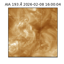 saia - 2026-02-08T16:00:04.843000