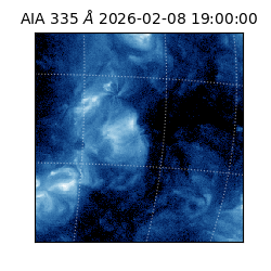 saia - 2026-02-08T19:00:00.632000