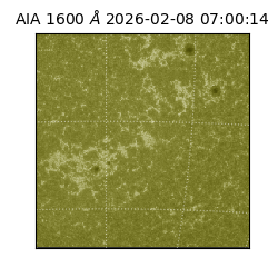 saia - 2026-02-08T07:00:14.132000