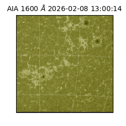 saia - 2026-02-08T13:00:14.129000
