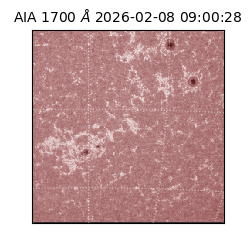 saia - 2026-02-08T09:00:28.718000