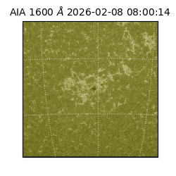 saia - 2026-02-08T08:00:14.126000