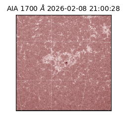 saia - 2026-02-08T21:00:28.709000