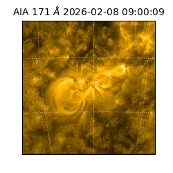 saia - 2026-02-08T09:00:09.350000