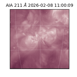 saia - 2026-02-08T11:00:09.630000