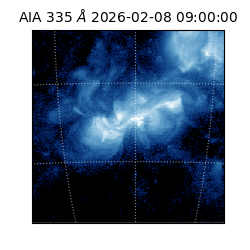 saia - 2026-02-08T09:00:00.625000