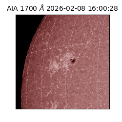 saia - 2026-02-08T16:00:28.717000