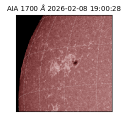 saia - 2026-02-08T19:00:28.718000