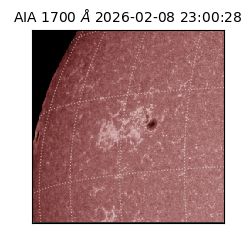 saia - 2026-02-08T23:00:28.718000