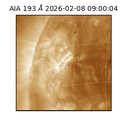 saia - 2026-02-08T09:00:04.843000