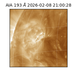 saia - 2026-02-08T21:00:28.835000