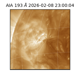 saia - 2026-02-08T23:00:04.846000