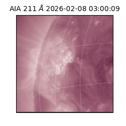 saia - 2026-02-08T03:00:09.626000