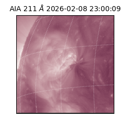 saia - 2026-02-08T23:00:09.626000
