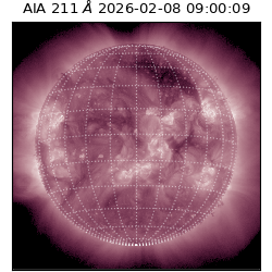 saia - 2026-02-08T09:00:09.626000