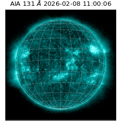 saia - 2026-02-08T11:00:06.622000
