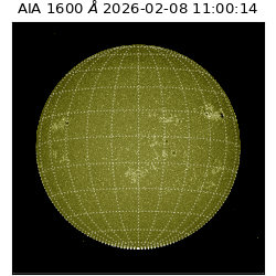 saia - 2026-02-08T11:00:14.126000