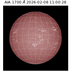 saia - 2026-02-08T11:00:28.718000