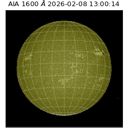 saia - 2026-02-08T13:00:14.129000