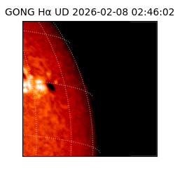 gong - 2026-02-08T02:46:02