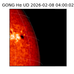 gong - 2026-02-08T04:00:02
