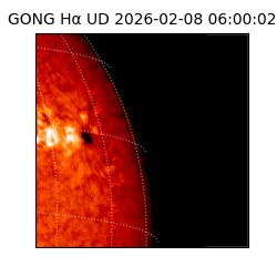 gong - 2026-02-08T06:00:02