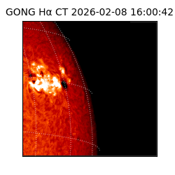 gong - 2026-02-08T16:00:42
