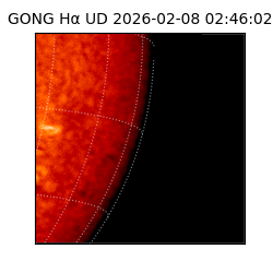 gong - 2026-02-08T02:46:02