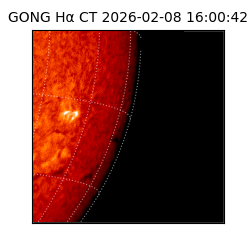 gong - 2026-02-08T16:00:42