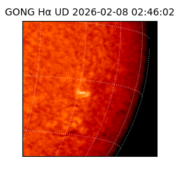 gong - 2026-02-08T02:46:02