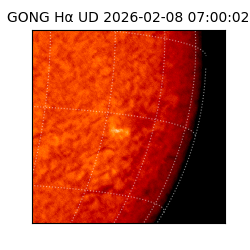 gong - 2026-02-08T07:00:02