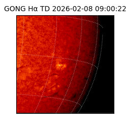 gong - 2026-02-08T09:00:22