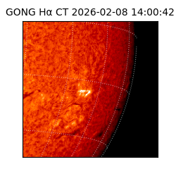 gong - 2026-02-08T14:00:42
